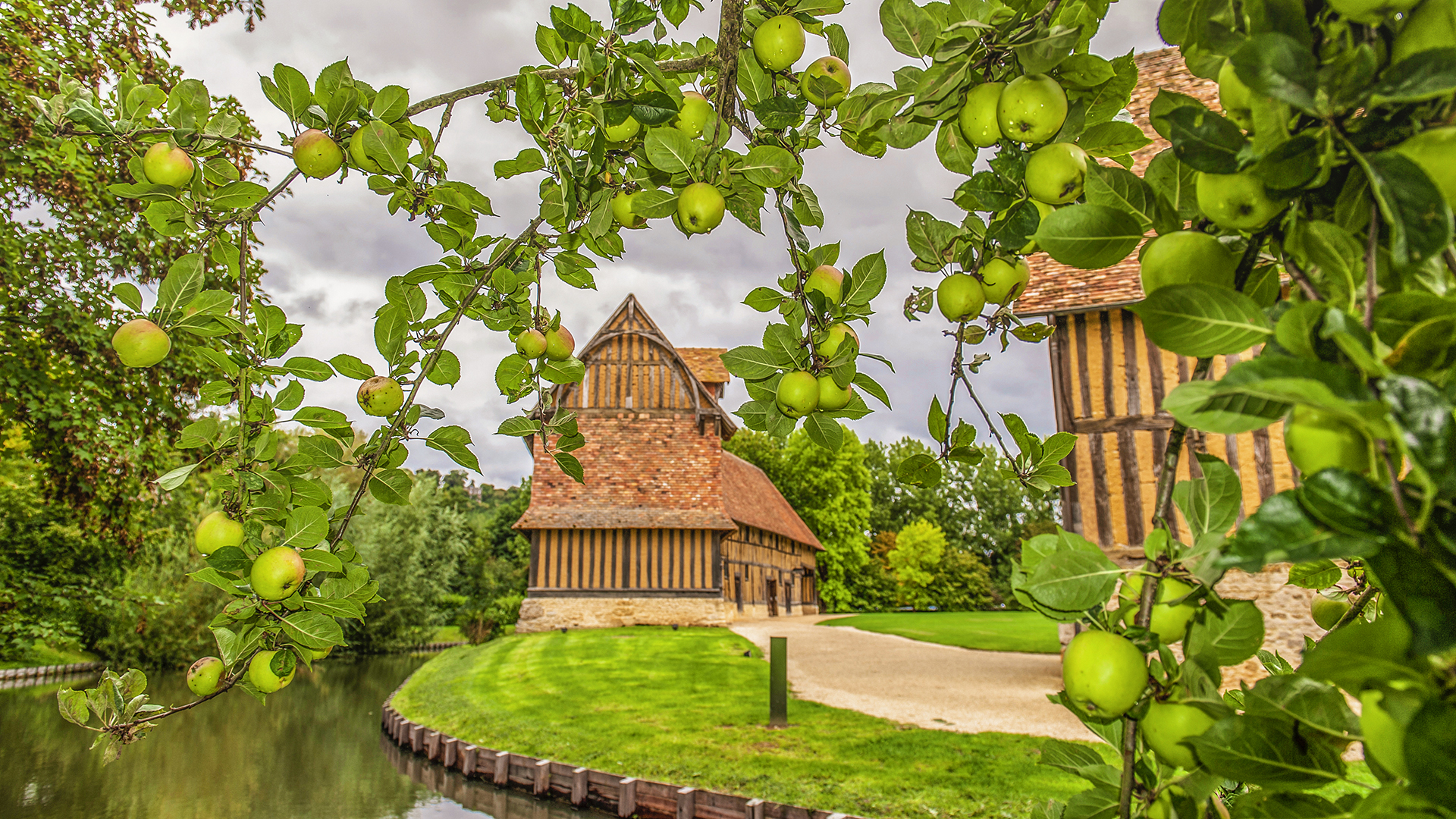 Das letzte Gut des niederen normannischen Landadels: das Château de Crèvecœur mit seinen alten Apfelwiesen. Foto: Hilke Maunder