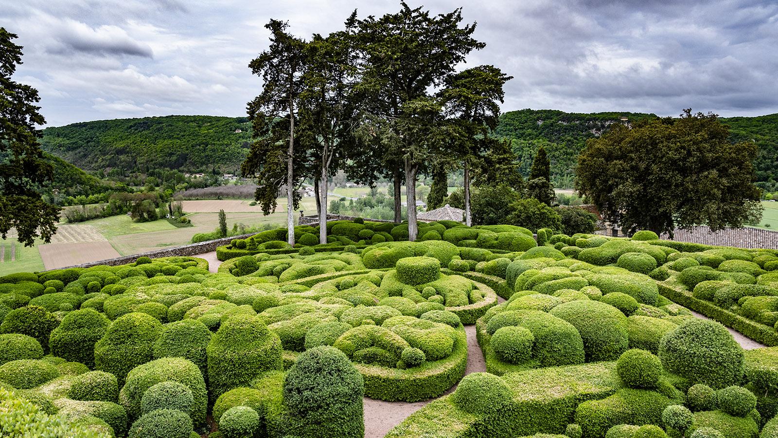 Die Gärten von Marqueyssac. Foto: Hilke Maunder